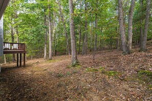 Property grounds - Spacious 4BR Forest Retreat Deck Games Near Resort (McGaheysville)