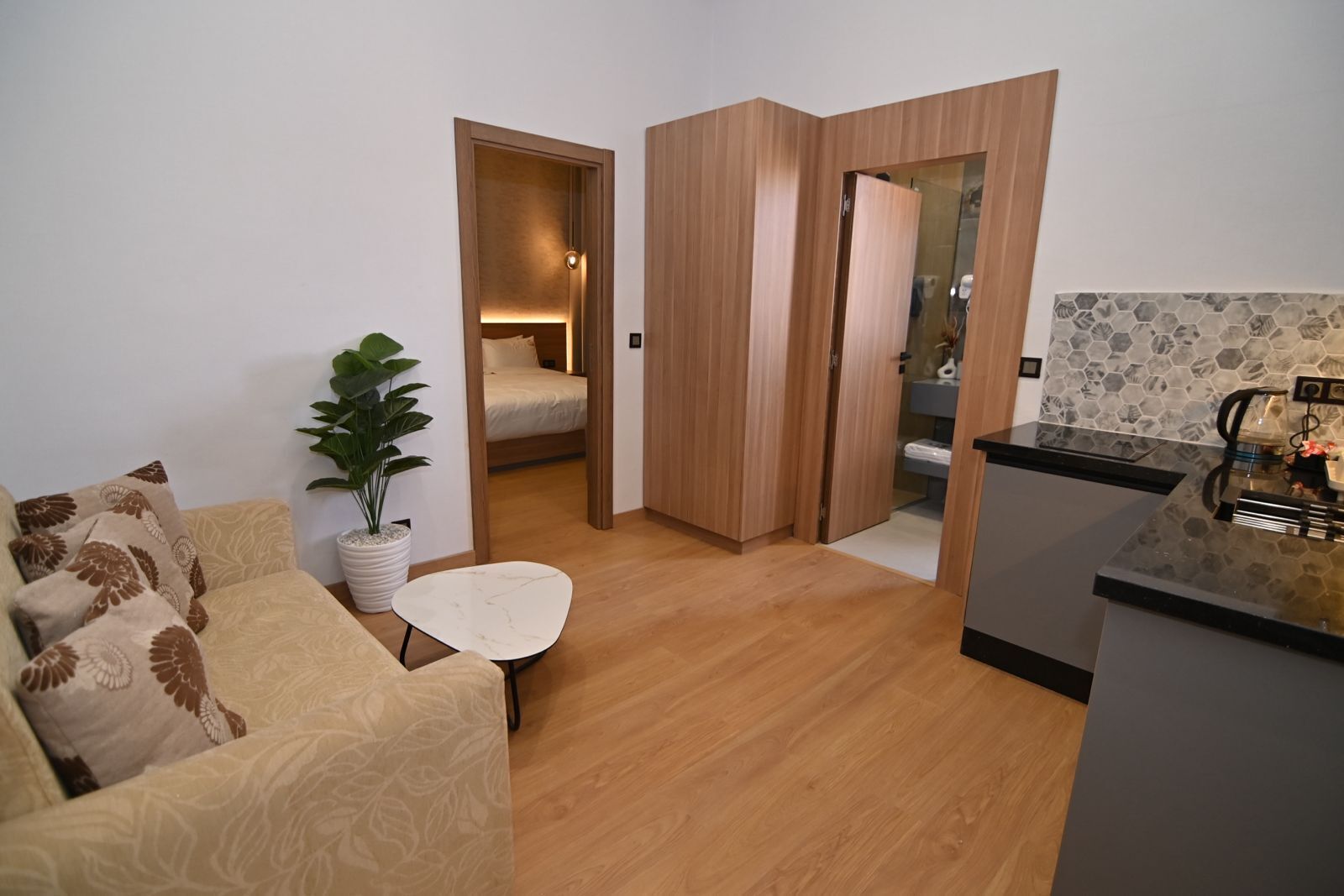 A compact living space with a sofa, a small table, a potted plant, and a kitchenette.