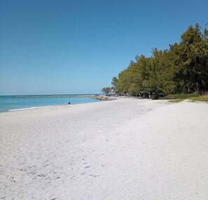Una playa con cielo despejado, mar tranquilo y una línea de árboles a lo largo de la orilla.