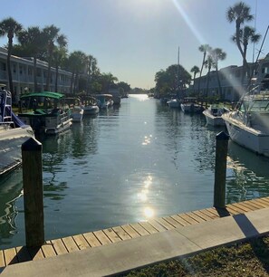 A marina with boats docked, a wooden walkway, and palm trees lining the water. - **CANALFRONT CONDO ON VENICE🌴 ISLAND **FABULOUS 🍁FALL &  HOLIDAYS🌟 

 (Venice)
