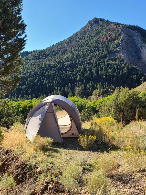 A tent labeled "Kingdom 4" in a natural setting with a mountainous backdrop.