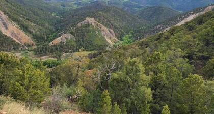 The Hideaway - Secluded 37-Acre Mountain Retreat Near Salida