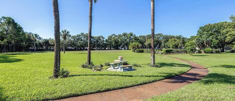 A park with a paved walkway, palm trees, and a picnic table.