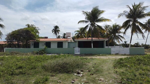 A two-story building with a green facade and a red-tiled roof, surrounded by palm trees and overgrown vegetation.