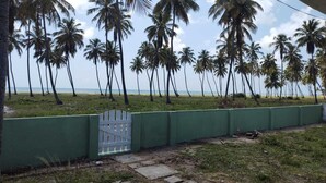 A beach view with palm trees and a green fence. - Cozy beach house with pool, in Aver o Mar, year-round sunshine. (Barra do Sirinhaém)