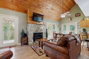 TV, fireplace, books