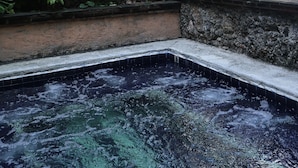 Ein Bereich mit Steinmosaic-Badewanne, einem Steinbogen und einem kleinen Garten mit gelben Blumen.