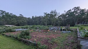 A garden with raised beds, a variety of plants, and a wooden fence.