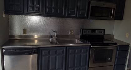 HIp Pop-Art Themed 2-bedroom condo in superb Historic Soulard, St. Louis