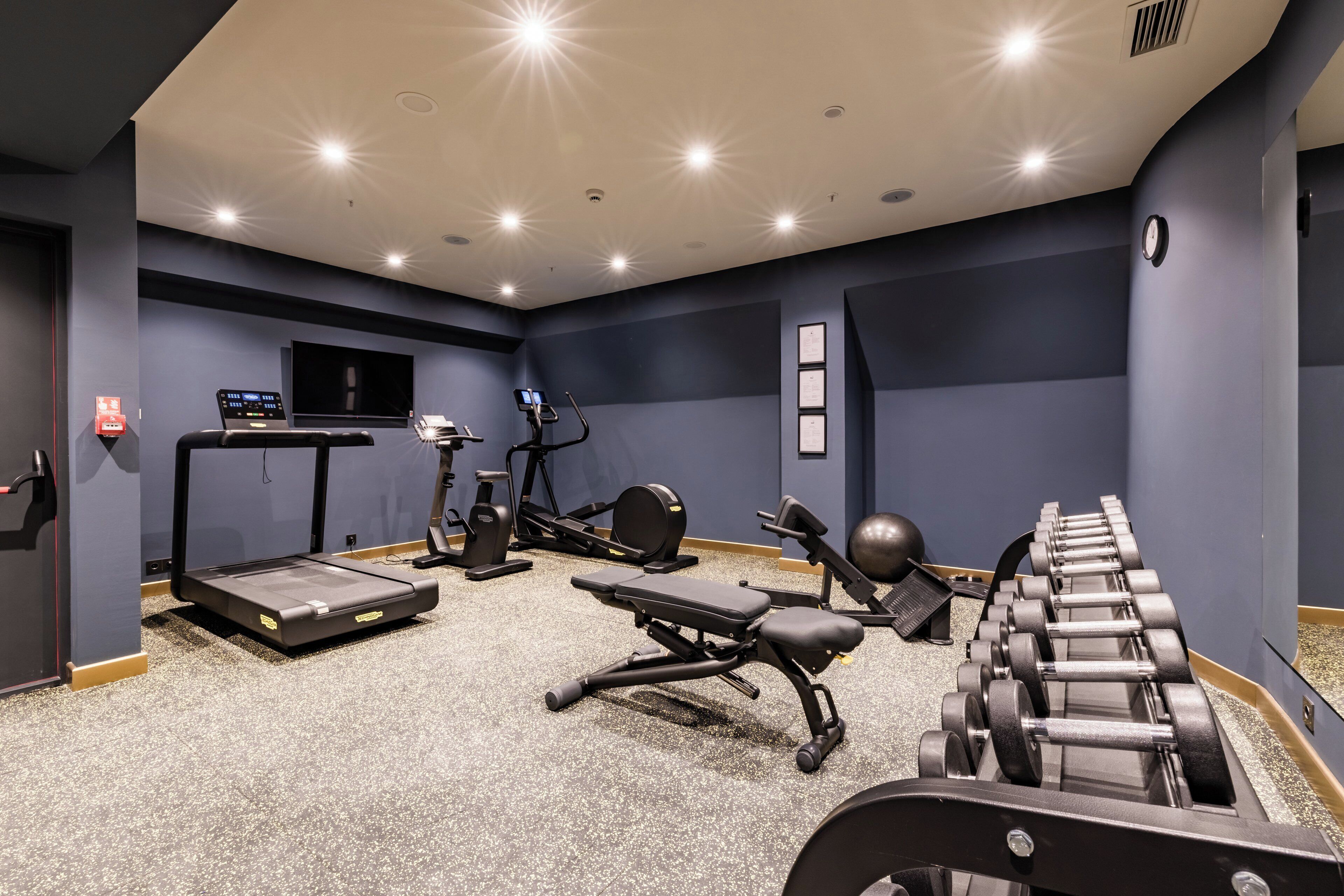 A gym with treadmills, elliptical machines, a bench press, and dumbbells.
