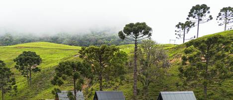 A row of A-frame cabins with wooden decks and metal roofs, surrounded by lush green hills and trees.