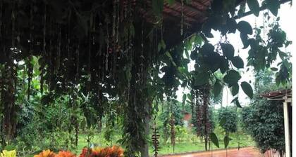 Rural Serene Nandi Hills Road