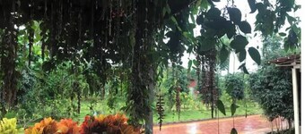 Serene Retreat Nandi Hills