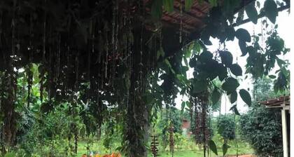 Serene Retreat Nandi Hills