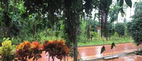 Terrein van de accommodatie