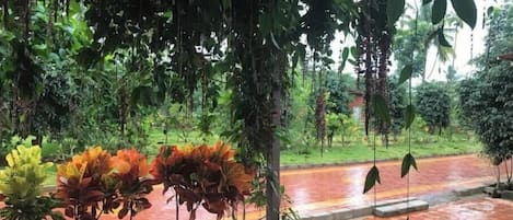 Terrein van de accommodatie