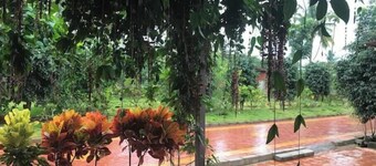 Charming 1-bedroom apartment in enchanting Nandi Hills with AC