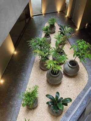 Terrain de l’hébergement 