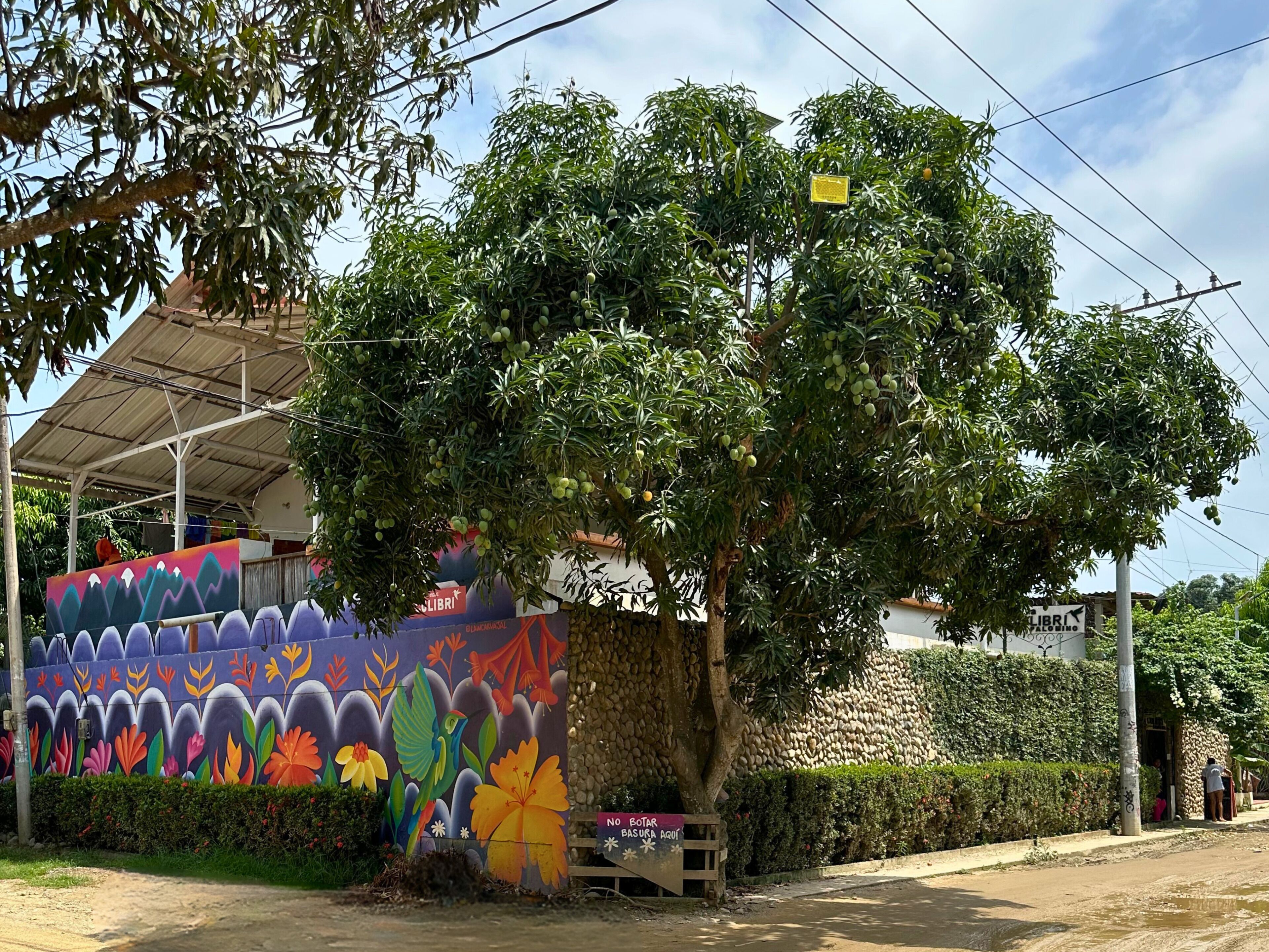 A colorful mural on a building, a tree with green fruits, and a sign that reads "NO BOATAR BASURA AGUIT".