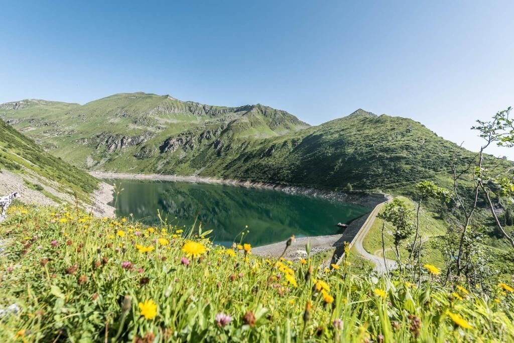 A mountainous landscape with a lake, surrounded by greenery and wildflowers.