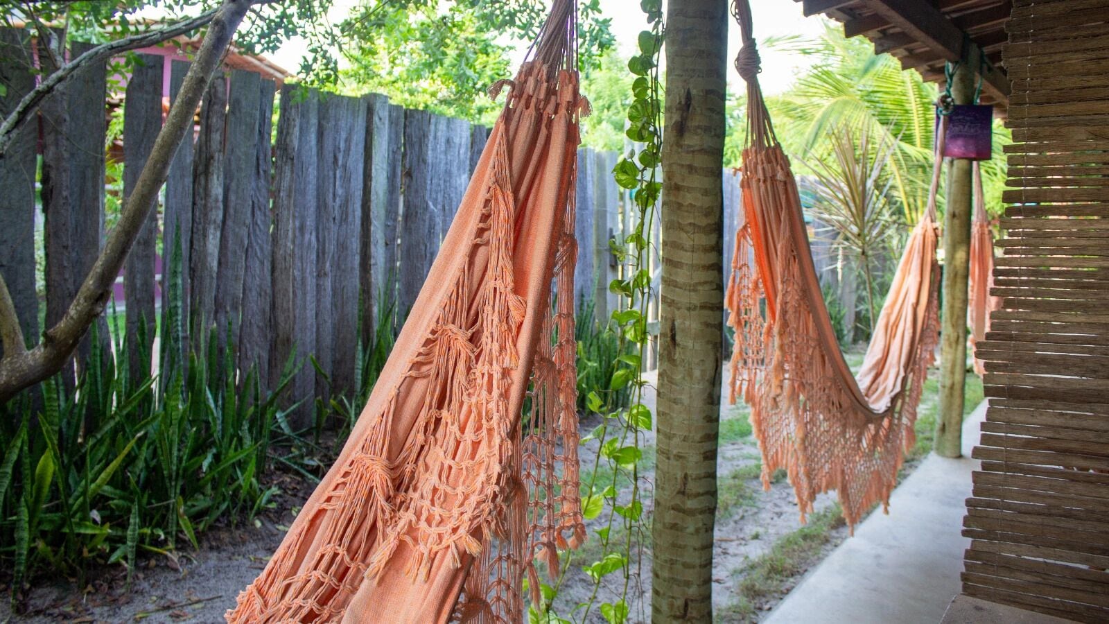 尊贵套房 | 免费 WiFi