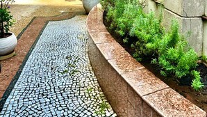 A courtyard with a cobblestone path, potted plants, and a palm tree. - Luxurious 5-Star Flat 6 - Hotel Privilege (5 min from the airport) (São Paulo)