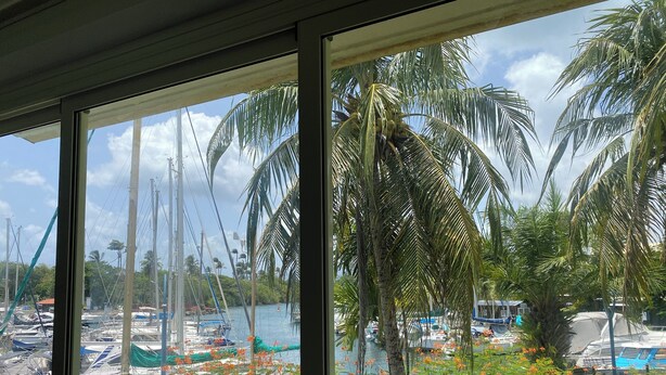 A marina with boats and palm trees. - T2 apartment with mezzanine in the Marina, 3 minutes from the beach (Les Trois-Îlets)