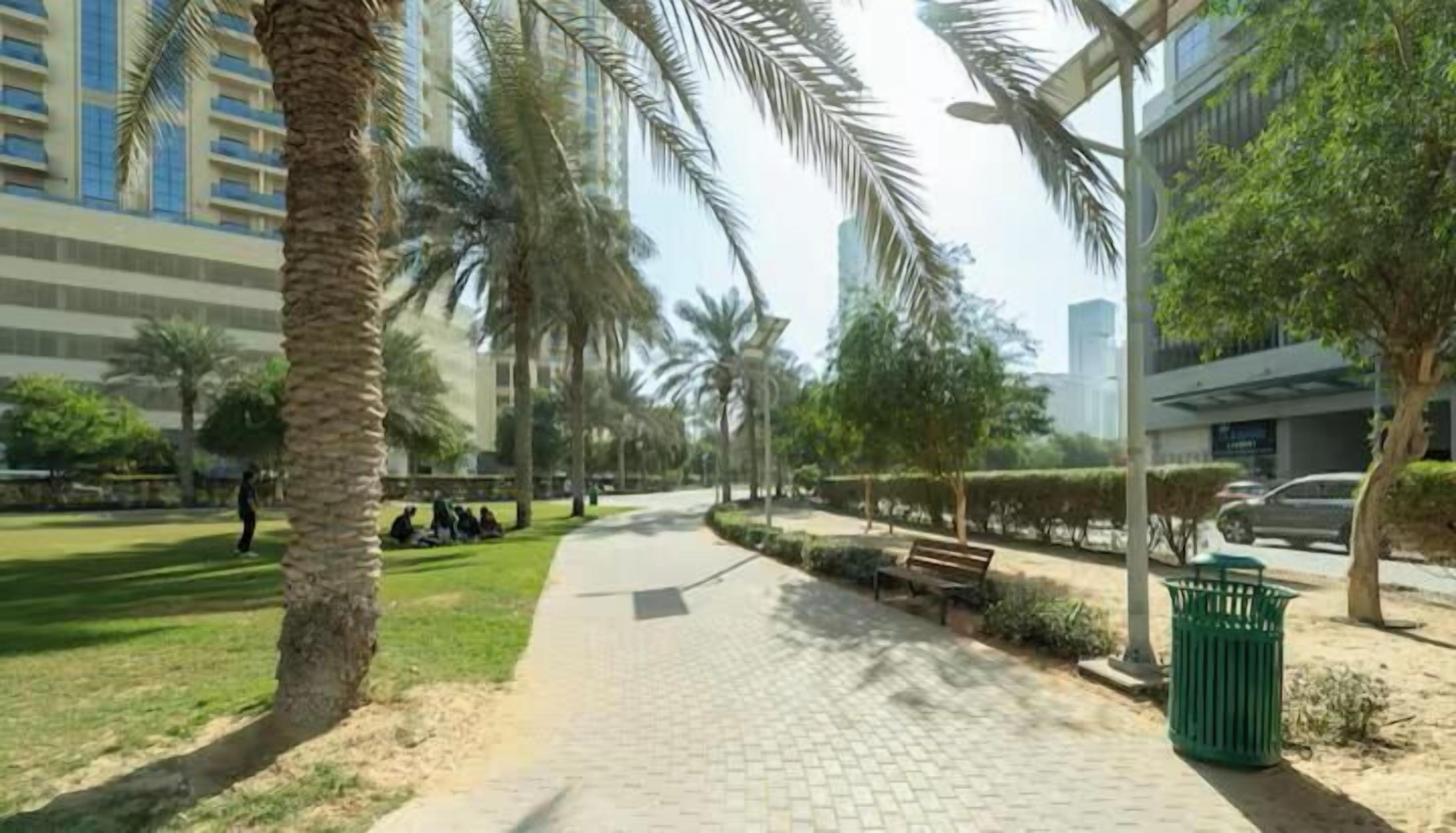 A paved walkway with palm trees, benches, and a green trash bin.