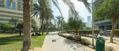 A paved walkway with palm trees, benches, and a green trash bin.