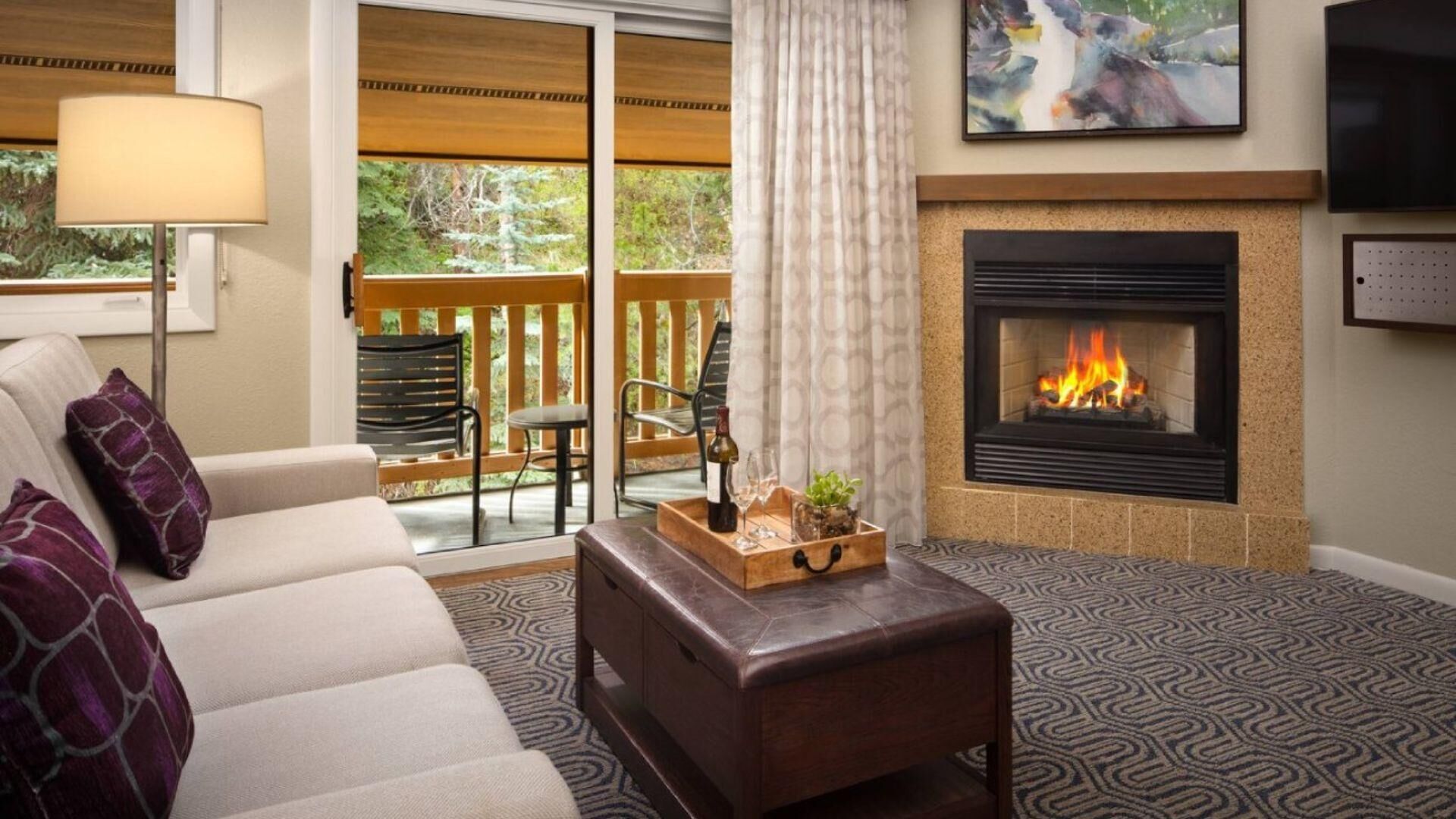 TV, fireplace