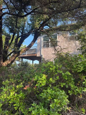 Terrain de lâhĂ©bergement