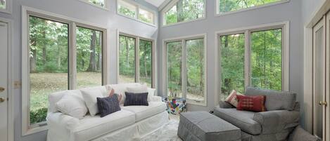 Smart TV, fireplace, books