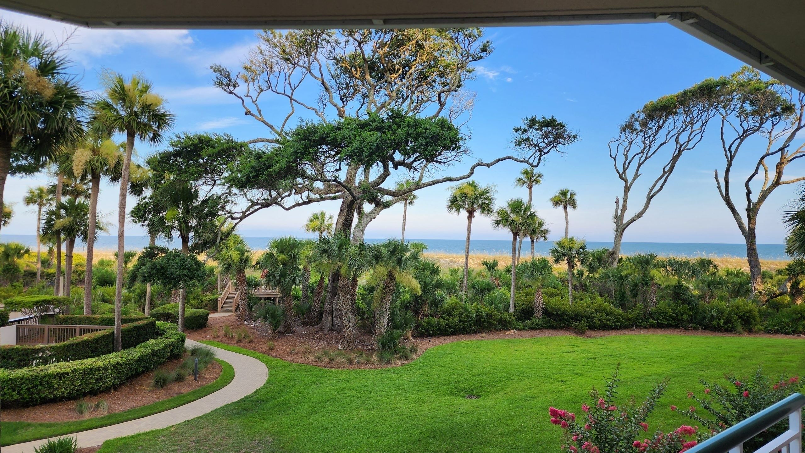 A lush garden with a pathway leading to a deck, surrounded by palm trees and a view of the beach.