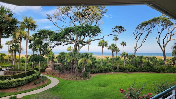 A lush garden with a pathway leading to a deck, surrounded by palm trees and a view of the beach.