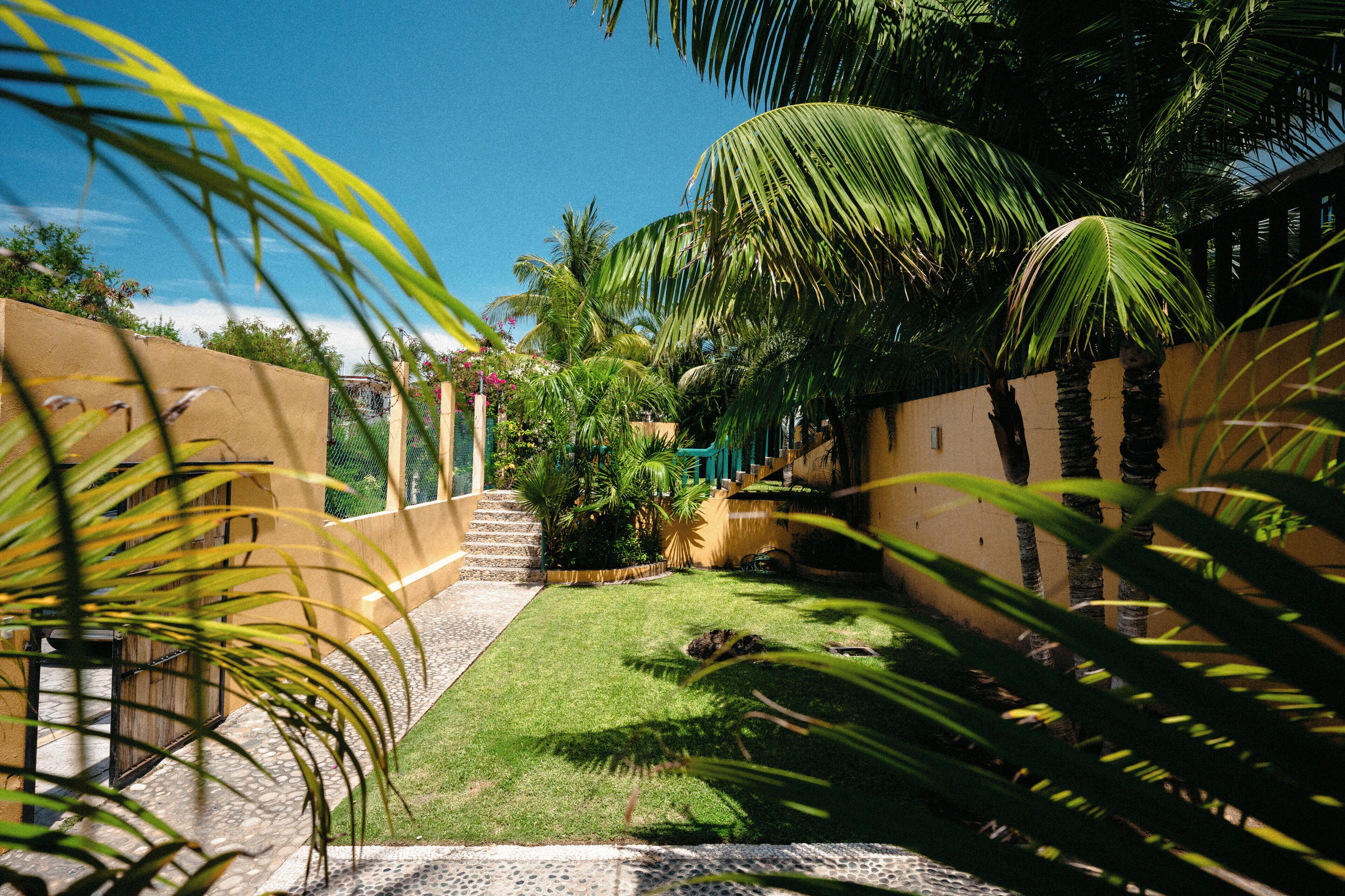 Un chemin menant à un bâtiment doté d’un petit jardin, de palmiers et d’un escalier.
