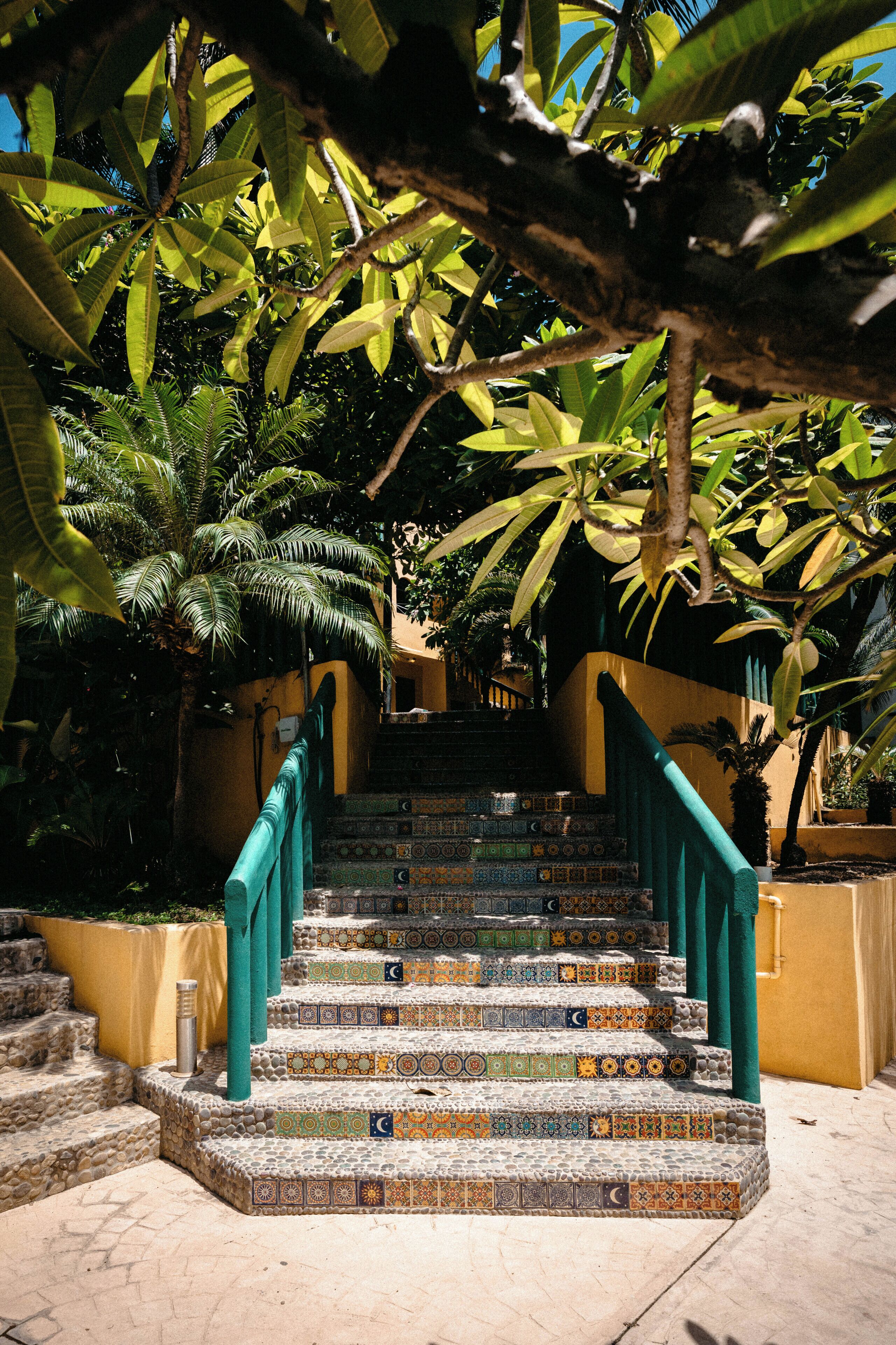 Una escalera con baldosas de colores que conduce a la entrada de un edificio, rodeada de abundante vegetación.
