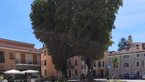 A street with buildings, a tree, and a blue sign. - Regina Margherita Apartment (Rocchetta Ligure)