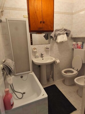 Shower, hair dryer, bidet, towels