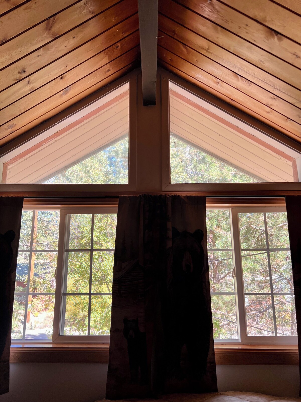 オーナーのプロフィール画像