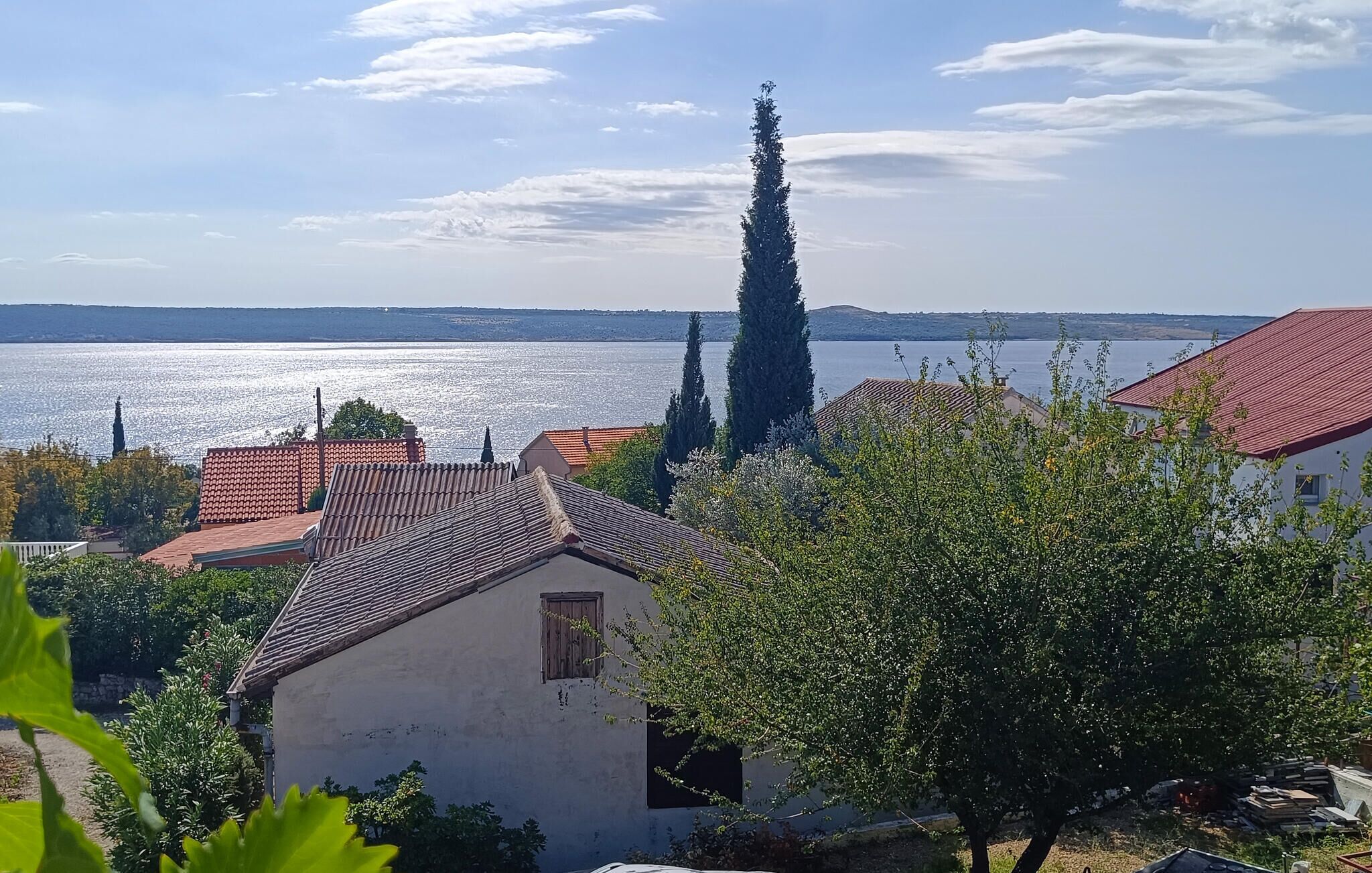 Blick auf die Küste mit Gebäuden, einem hohen Baum und einem Wasserabschnitt.