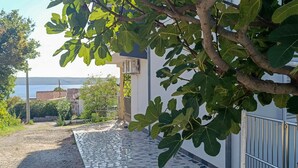 A paved pathway leading to a building with a metal gate, surrounded by greenery and a view of the sea. - Lovely apartment in Maslenica with WiFi (Maslenica)