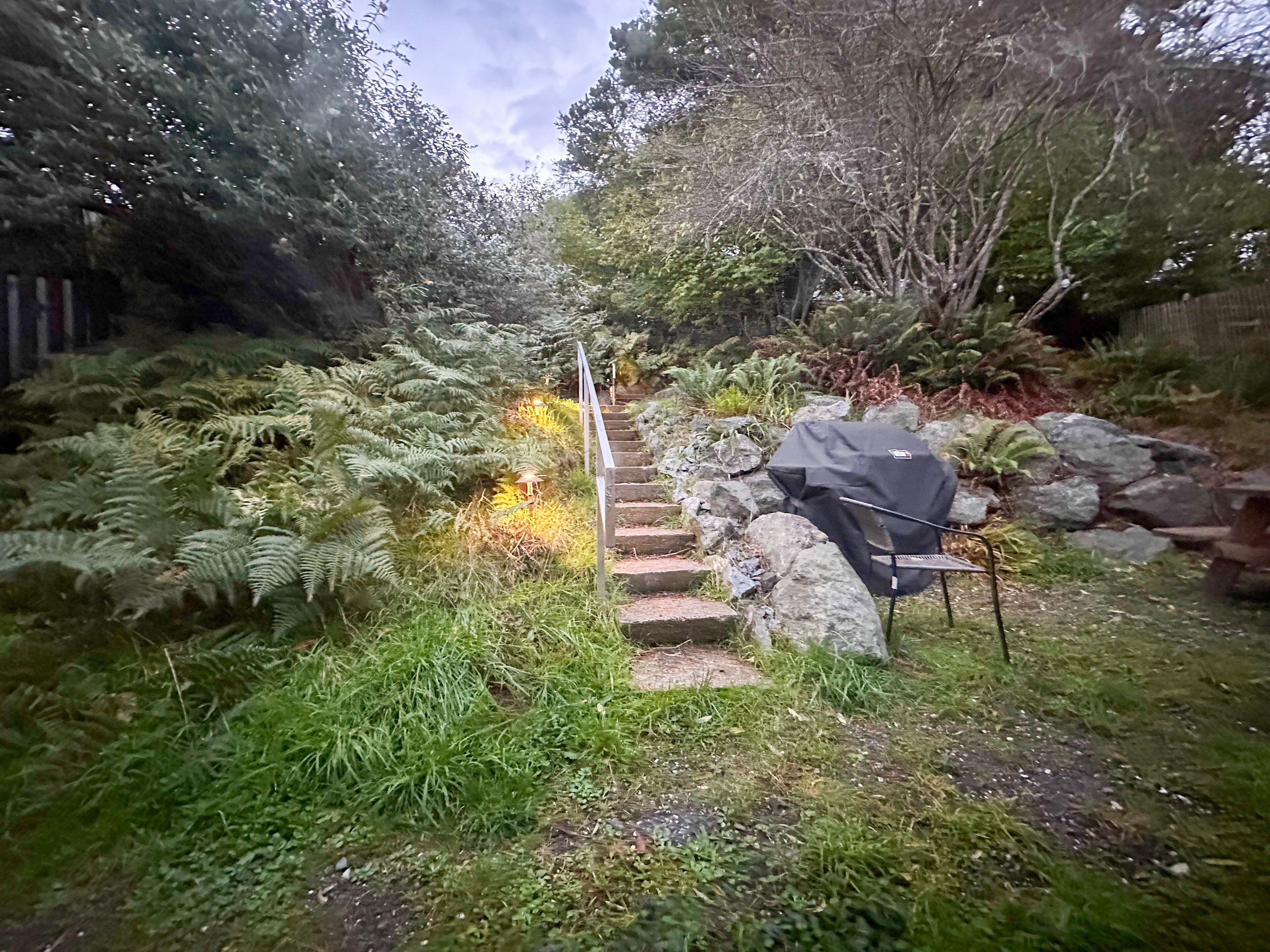 Eine steinerne Treppe, umgeben von üppigem Grün und Farne, die einen Hügel hinaufführt.
