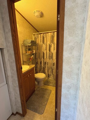 Une salle de bain équipée de toilettes, d’un lavabo et d’un rideau de douche.