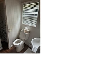 Shower, towels, soap, toilet paper