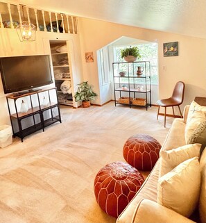 Smart TV, fireplace, books