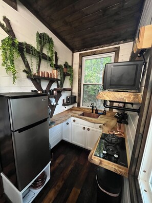 Fridge, microwave, stovetop, coffee/tea maker