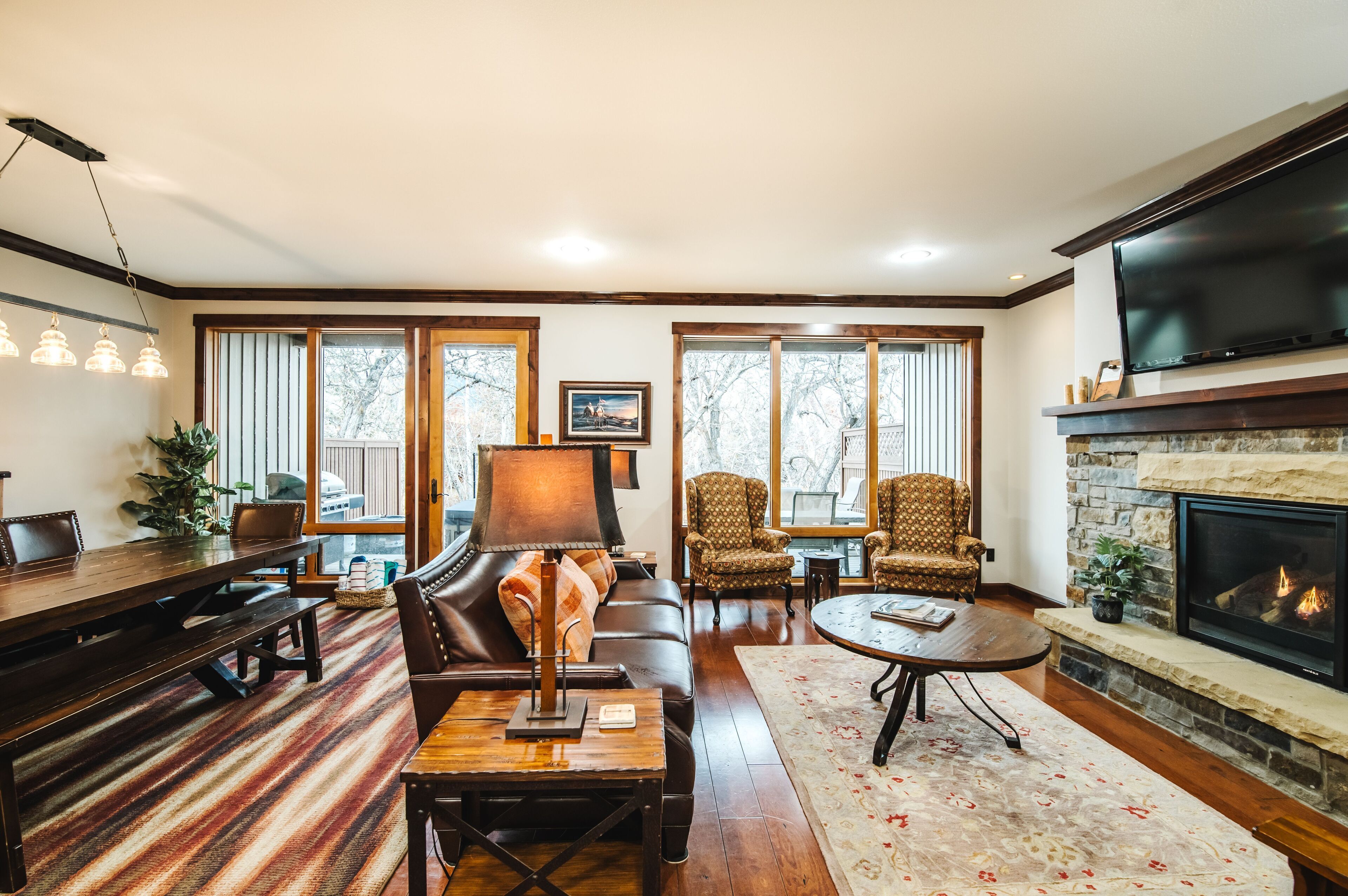 TV, fireplace, books