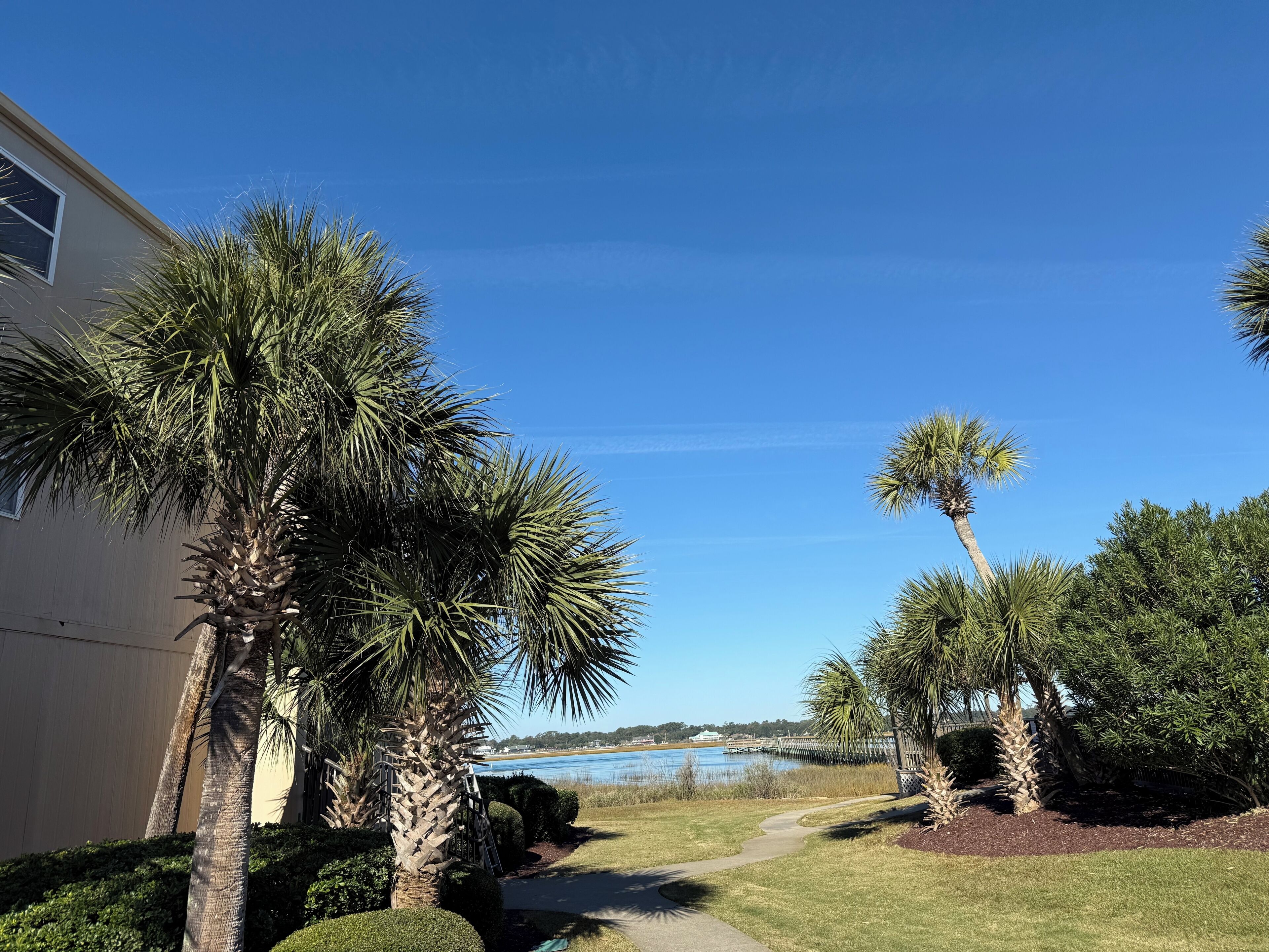 A pathway leading to a body of water with palm trees and a building on the left.