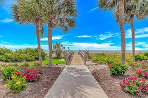 A pathway leading to a beach with palm trees and flower beds.