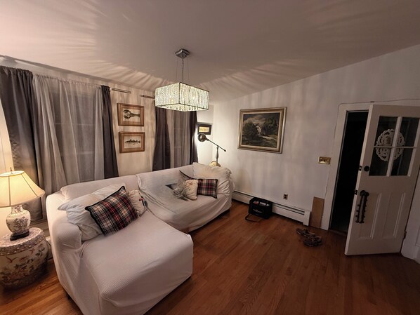 Smart TV, fireplace, books, music library